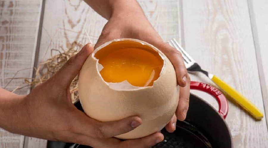 Ricette gustose con le uova di struzzo