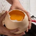 Ricette gustose con le uova di struzzo