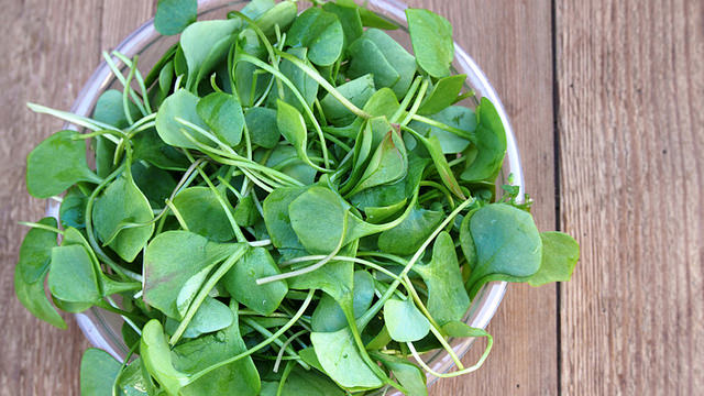 Le erbe in cucina quali sono le più facili da utilizzare