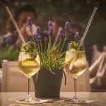 Strutturare un giardino, ecco quali sono gli elementi fondamentali