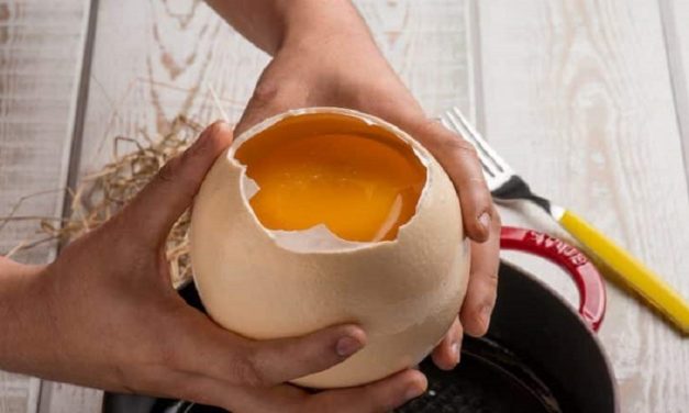 Ricette gustose con le uova di struzzo