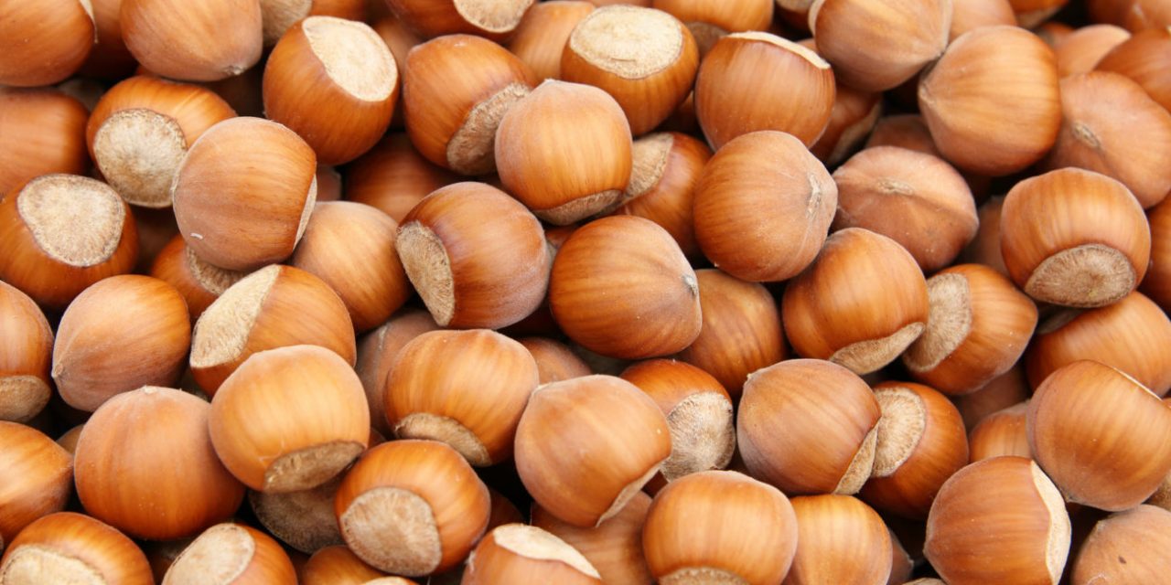 Le caratteristiche delle nocciole piemontesi