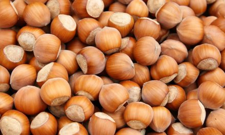 Le caratteristiche delle nocciole piemontesi